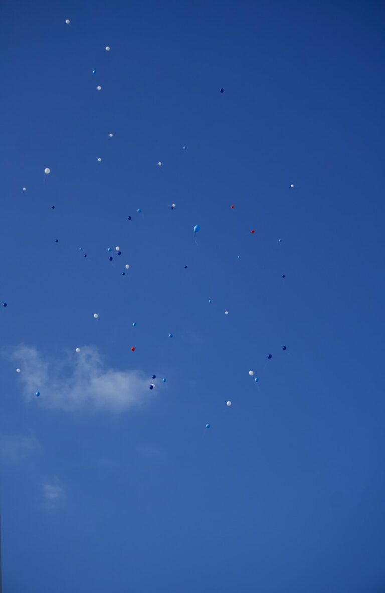 a bunch of balloons are flying in the sky